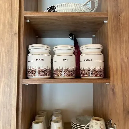 Tarihi Ahsap Villa Tire