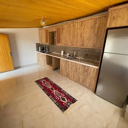 Villa Tarihi Ahsap *